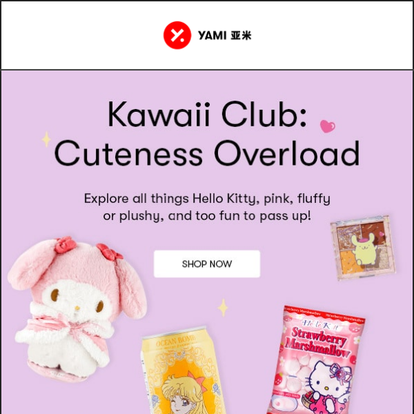 ✨ Open for kawaii overload 💖