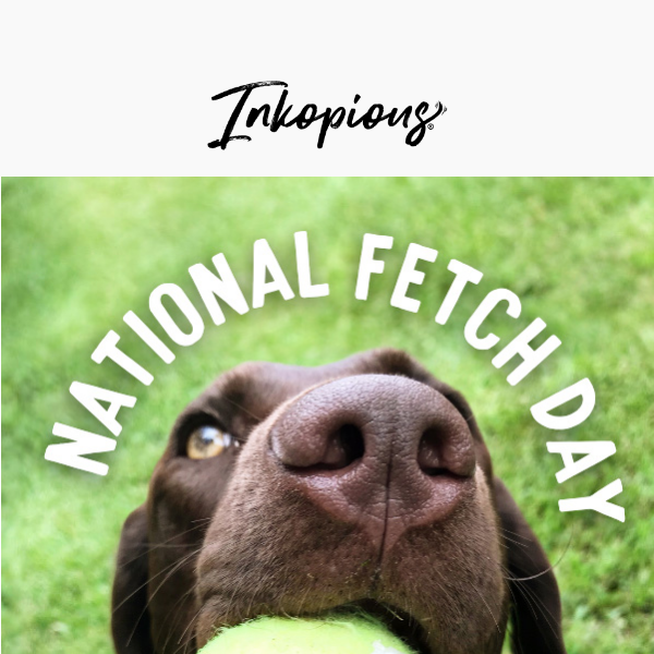 🎾 Celebrate National Fetch Day: Let the Games Begin! 🎾