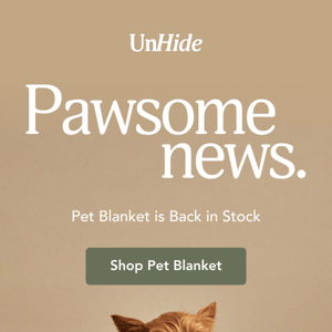 A restock your pet will LOVE…