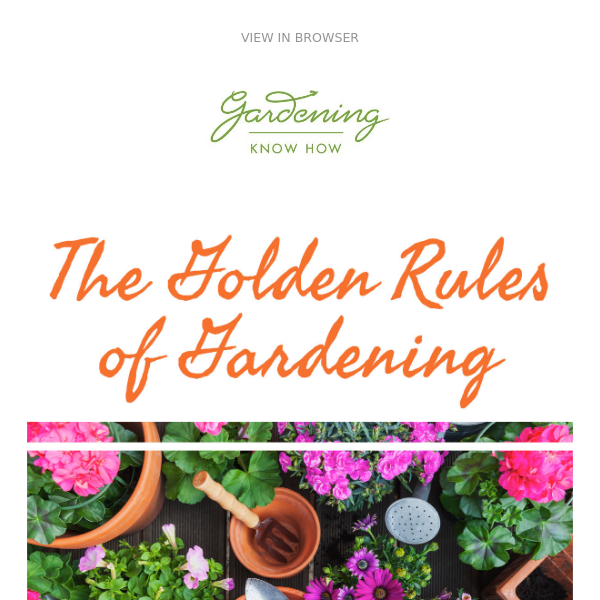 The Golden Rules Of Gardening + Trees That Increase Home Value + Easiest Houseplants