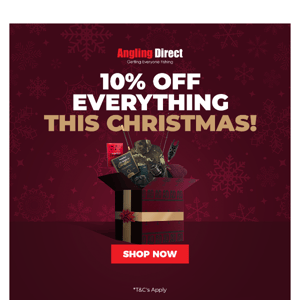 🎁🎄 10% Off Everything This Christmas 🎅🎁