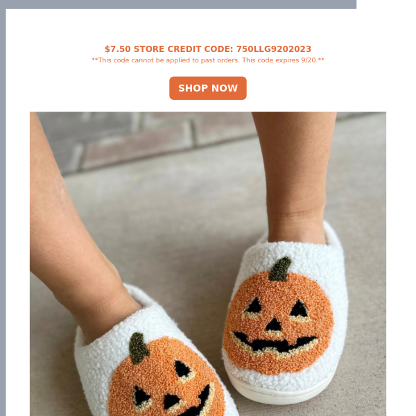 Pumpkin Cozy Slippers? Yes, Please.