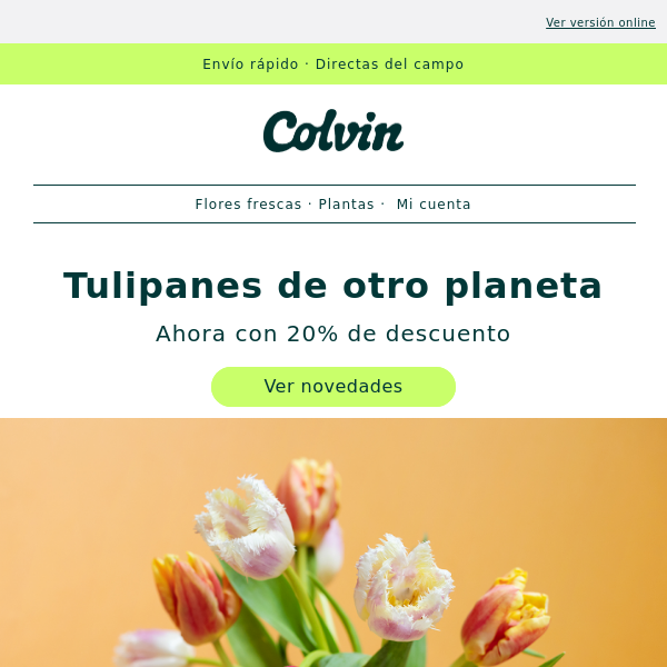 20%?Descubre los nuevos tulipanes - Colvin Co