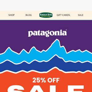 Act Fast ⏳ Patagonia styles are 25% off