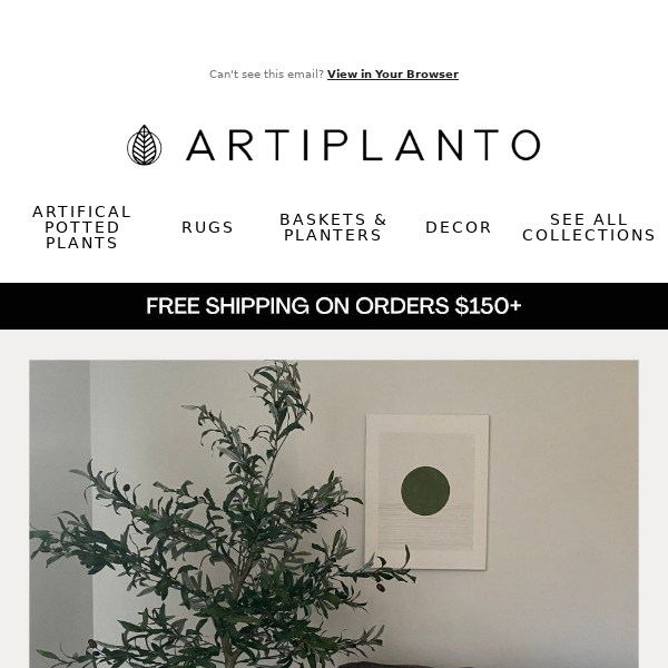 🌿Dreaming of a Green Christmas Artiplanto?