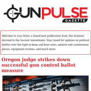 Judge scraps successful gun control ballot measure