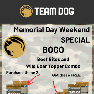 Team Dog Virtual Memorial Day Special