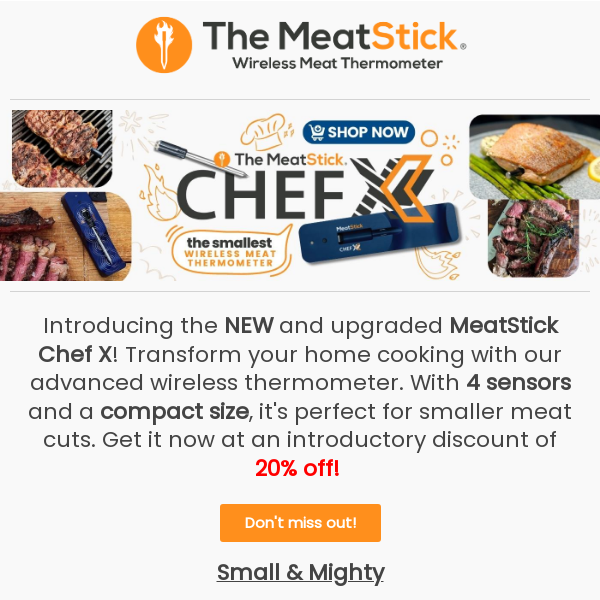 🆕 Introducing The MeatStick Chef X - Small & Mighty For Smaller Meat Cuts
