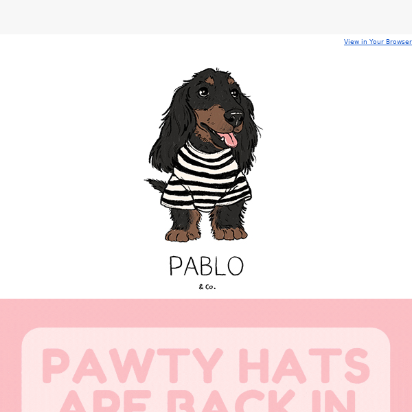 PAWTY HATS RESTOCKED!! ❤️