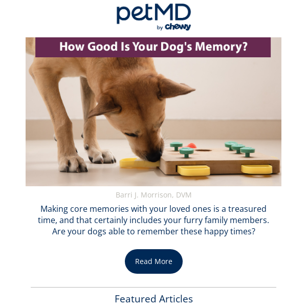 How Good Is Your Dog's Memory?