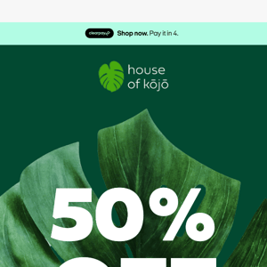 Our 50% off Black Friday Sale Starts NOW 🌿💰