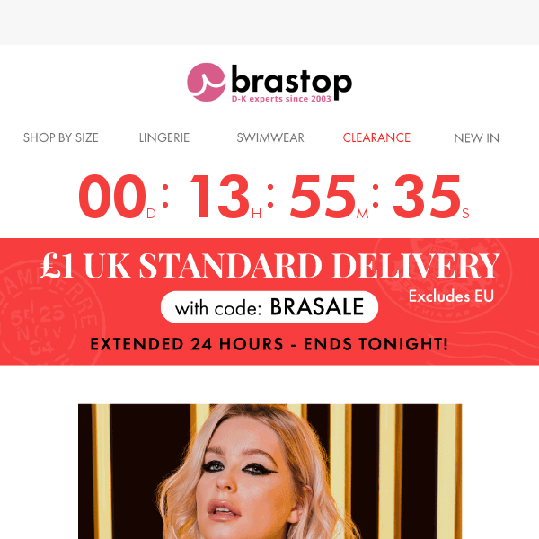 Surprise! £1 delivery extended until midnight TONIGHT - Brastop