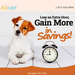 Daylight Saving Time Ends, But Not Our Savings!