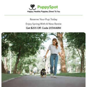 Reserve today and get your puppy in time for spring! $205 Off With Code 205WARM