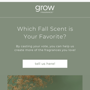 What's your favorite fall scent? 🍁