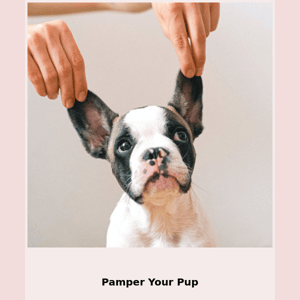 Attention Dog Lovers: Elevate Your Pup's Skincare Game