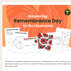Time Saving Remembrance Day Resources 💚