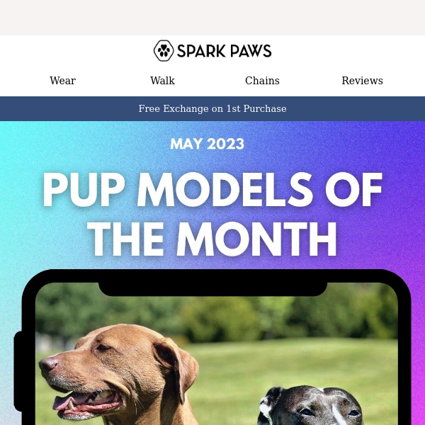 Meet The Doggy Models of the Month! 😍 (PUR)