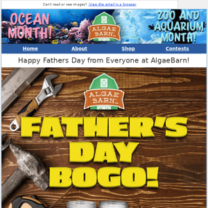 It's a Fathers Day BOGO On Galaxy Pods!