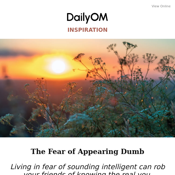 The Fear of Appearing Dumb