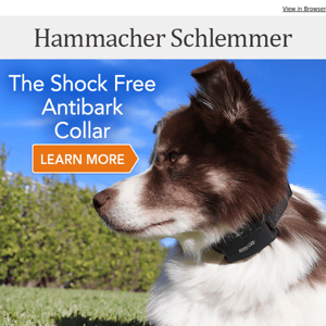The Shock Free Antibark Collar