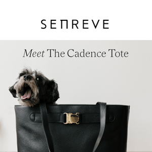 Own your NEW Cadence