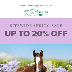 Springing Up Savings 🌼 Up to 20% Off Sitewide