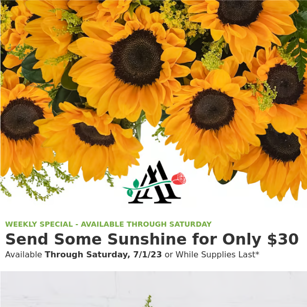 This Weekly Special is PERFECT for Summer! 🌻