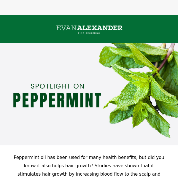 ☘️ 17% off TODAY ONLY: Discover The Power of Peppermint