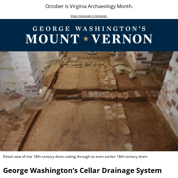 Ongoing Preservation in Mount Vernon's Cellar