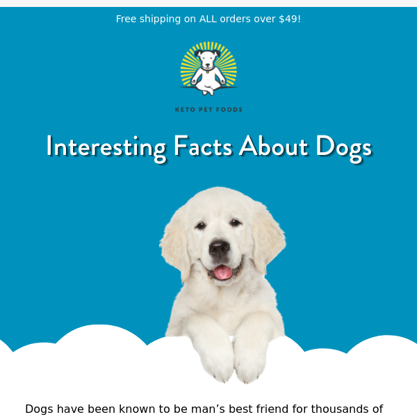 Amazing facts about your dog!