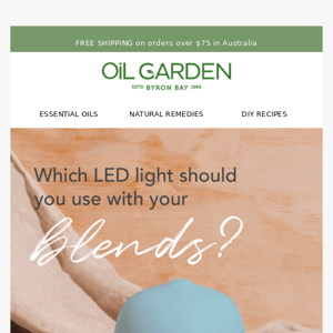 Get to know our Oasis Diffuser