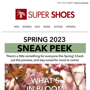 Our Spring 2023 Sneak Peek Is Here!