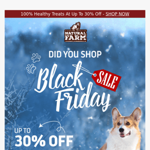 30% Off | Black Friday Sale 🐕