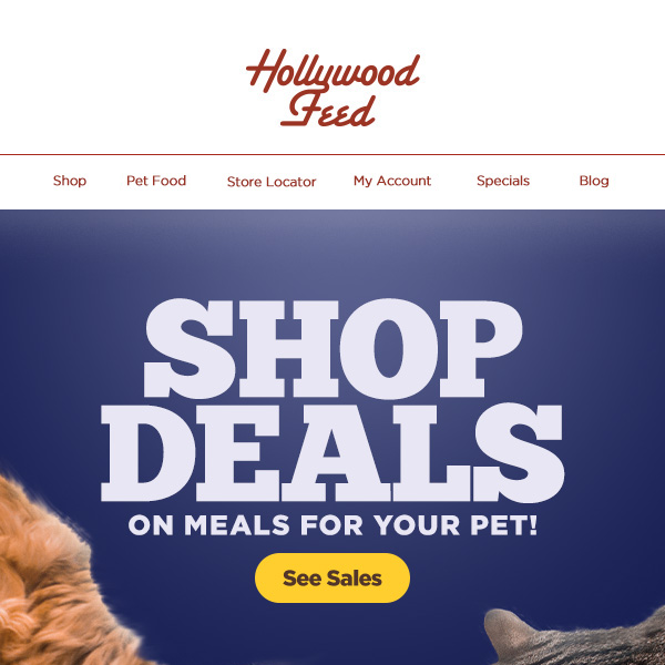 Shop Deals on Meals for Your Pet! 😋