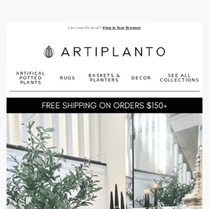 🪴Artiplanto These Are Perfect For Fall