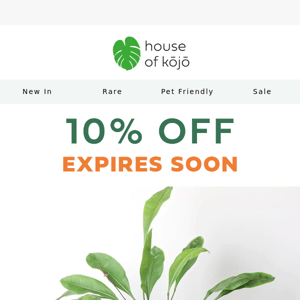 Your discount code is about to expire 🌱