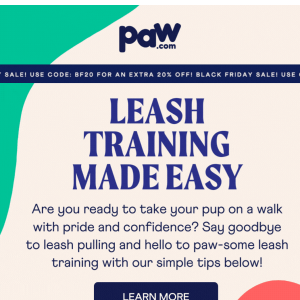 Mastering Leash Training 101 🐾