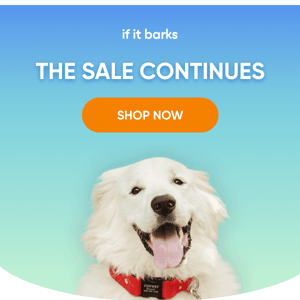 Unleash BIG Savings with our Dog Days of Summer Sale 🐾☀️