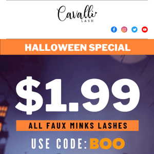 🎃HALLOWEEN SPECIAL 🎃 $1.99 ALL FAUX MINK LASHES