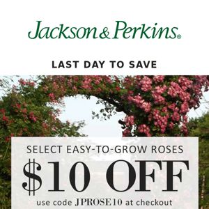 LAST DAY to Save $10 OFF Select Easy-to-Grow Roses