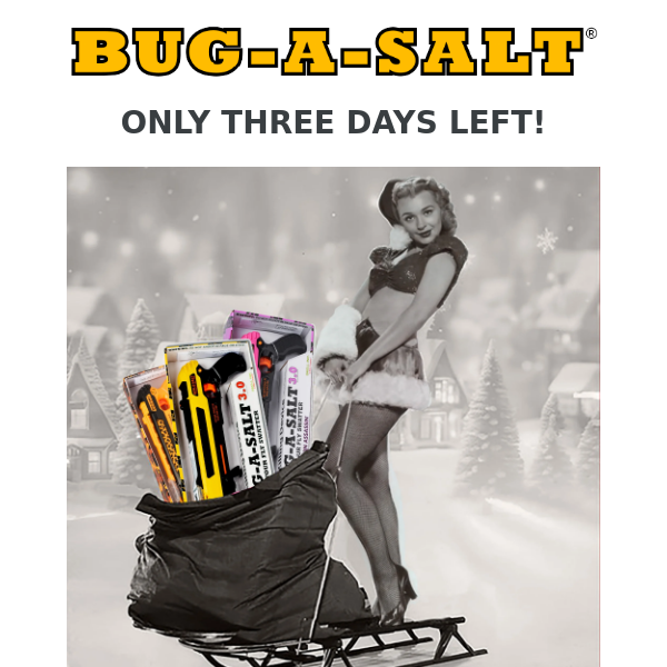 THREE DAYS LEFT for Half Off Rush Shipping!