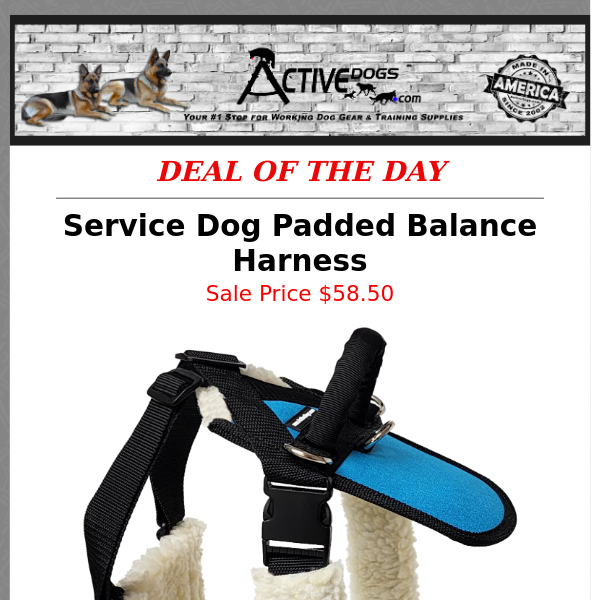Service Dog Padded Balance Harness   💙