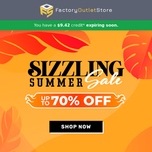 🤑 Up to 70% Off + Store Credit!💰