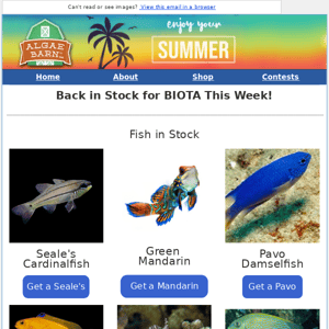 BIOTA Fish and Coral Back In Stock Now!