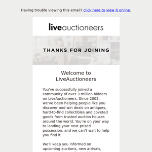 Welcome to LiveAuctioneers