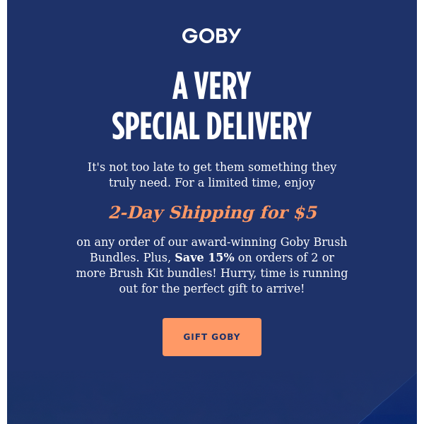 $5 2-Day Shipping Is Here To Save The Day!