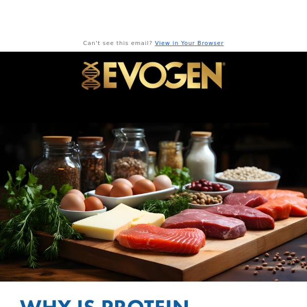 8️⃣ Reasons Why Protein Is A Must In A Healthy Diet