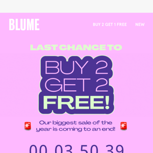 4 HOURS LEFT ⏰ for Buy 2 Get 2 FREE (!!!)