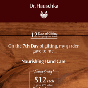 Day 7! $12 Hand Care